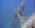 Anti aircraft gun on WW2 shipwreck - SS Thistlegorm Video