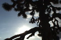 video clip 582441