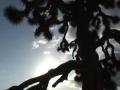 video clip 582443
