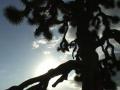 video clip 582459
