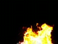 video clip 586141