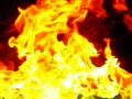 video clip 586155