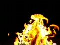 video clip 586173