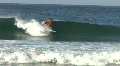 surfer carving the wave