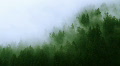 Misty Forest Mountain (HD)
