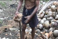 video clip 604561