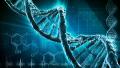 DNA strand