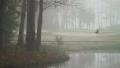 video clip 611359