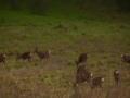 video clip 623869