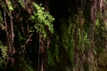 video clip 625523