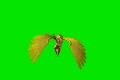 video clip 634091