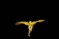 video clip 634119
