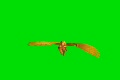 video clip 634121
