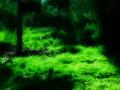 video clip 639271