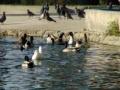 video clip 639283