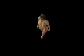 video clip 640823