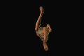 video clip 641381