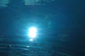 video clip 641445
