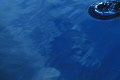 video clip 641483