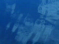 video clip 641533