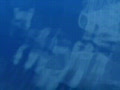 video clip 641535