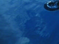 video clip 641539