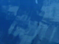 video clip 641555
