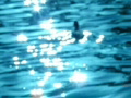 video clip 641645