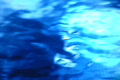 video clip 641751