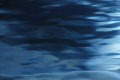 video clip 641787