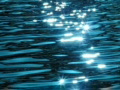 video clip 641807