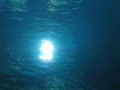 video clip 641821