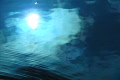video clip 641871