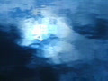 video clip 642293