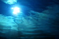 video clip 646123