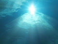video clip 646133