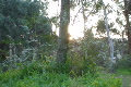 video clip 646799