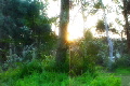 video clip 646811