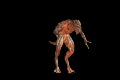 video clip 649081