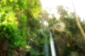 video clip 651581