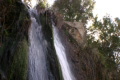 video clip 651773
