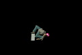 video clip 653387