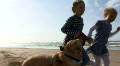 WS, Handheld, Children running hand in hand on beach with dog