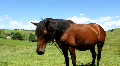 video clip 669497