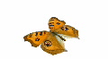 Looping Butterfly Animation 3