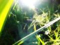 video clip 680501