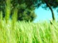 video clip 680503