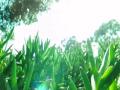 video clip 680511
