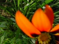 video clip 680545