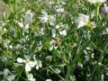 video clip 680595